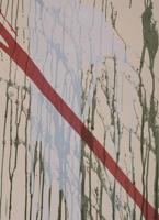 Larry Poons GRAPHICS Lithograph - Sold for $1,792 on 11-15-2025 (Lot 41).jpg